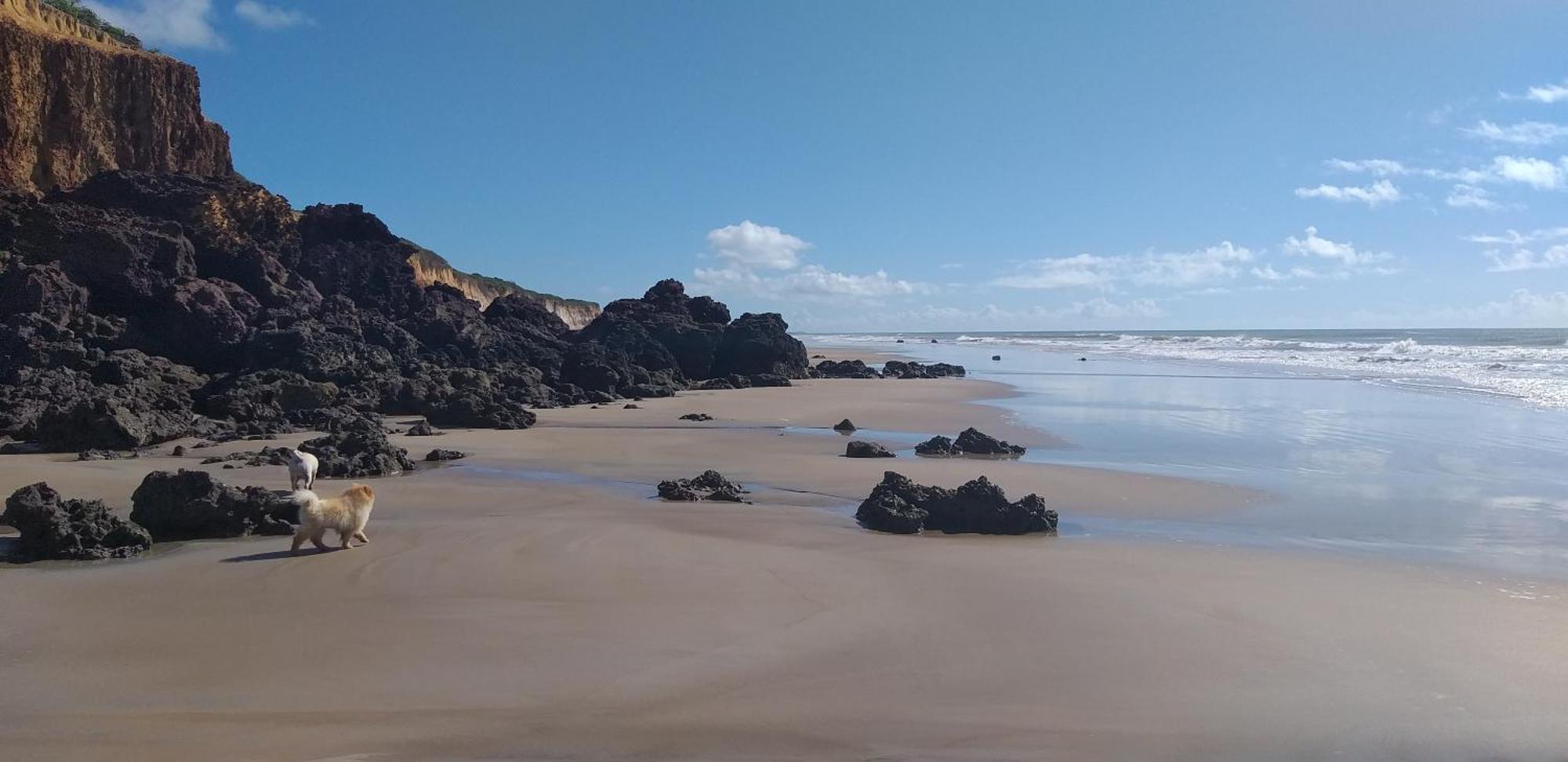 Casa Na Praia Com Piscina Costa Dourada Pokoj fotografie